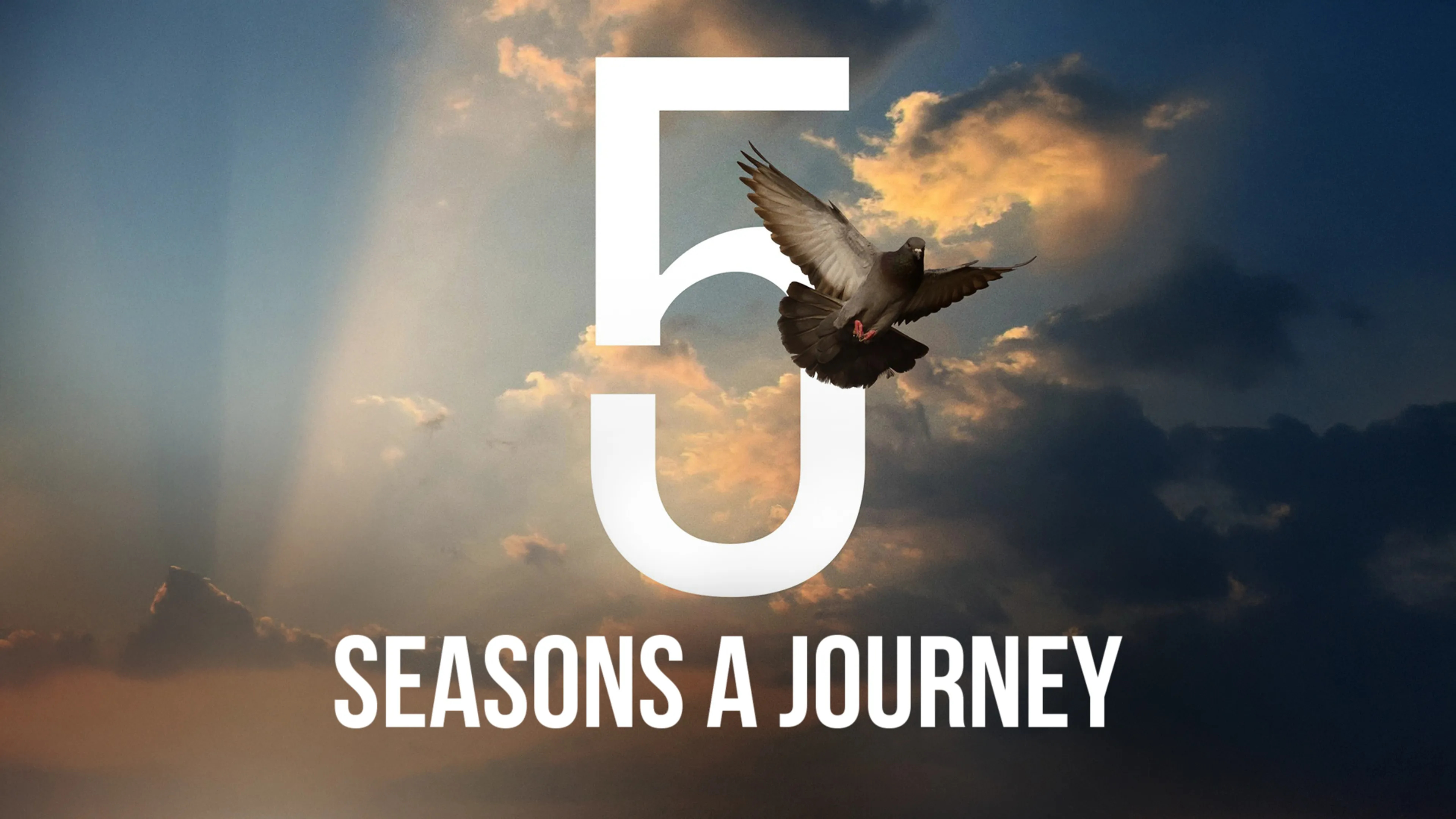 5 Seasons - A Journey poster